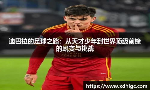 HB火博体育官网