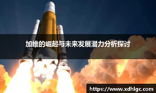 加维的崛起与未来发展潜力分析探讨